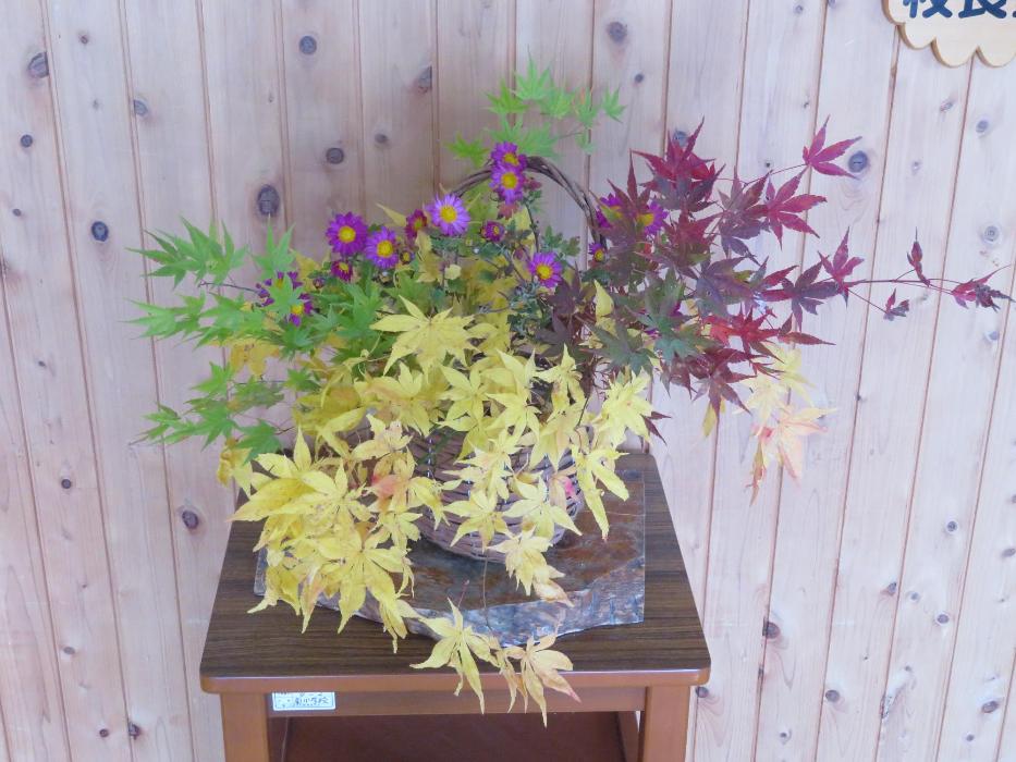 11月17日今週の花