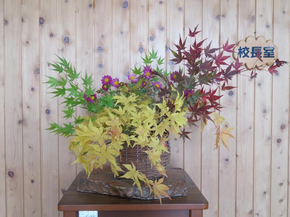 11月17日今週の花