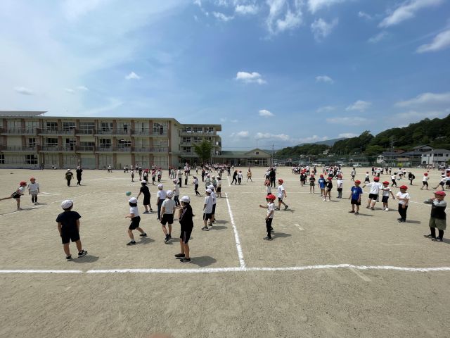 ペア遊び