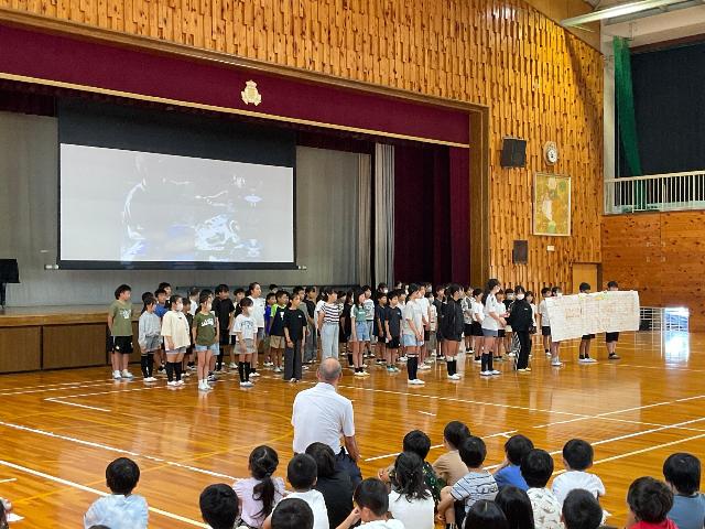 6年