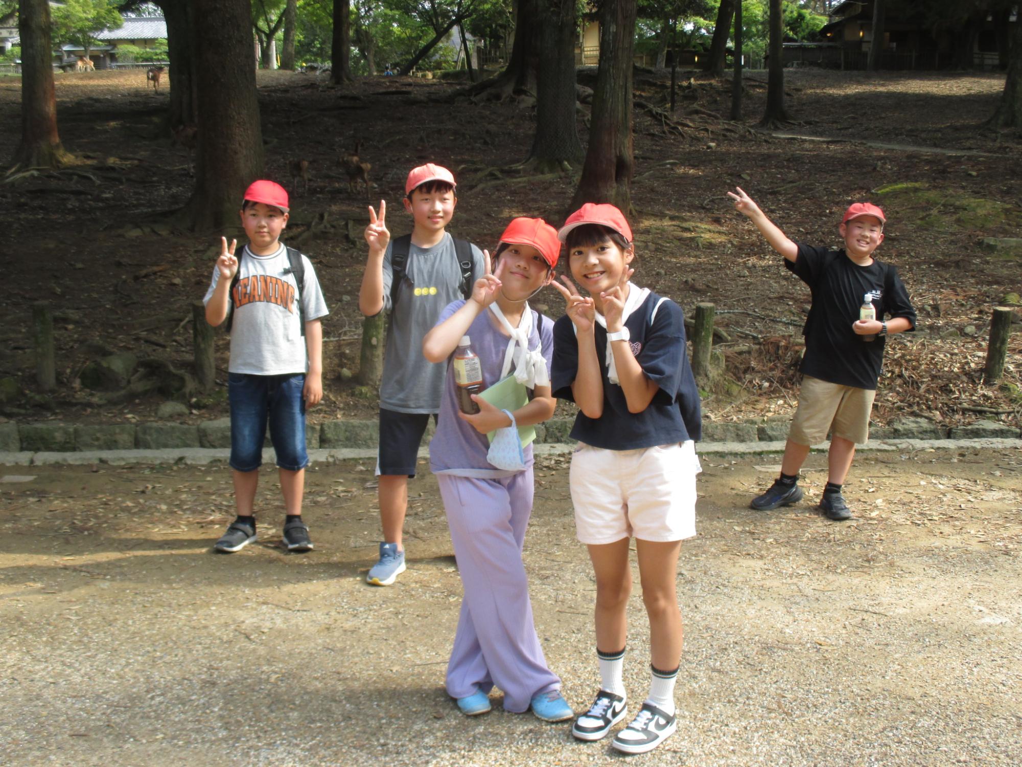 鹿4